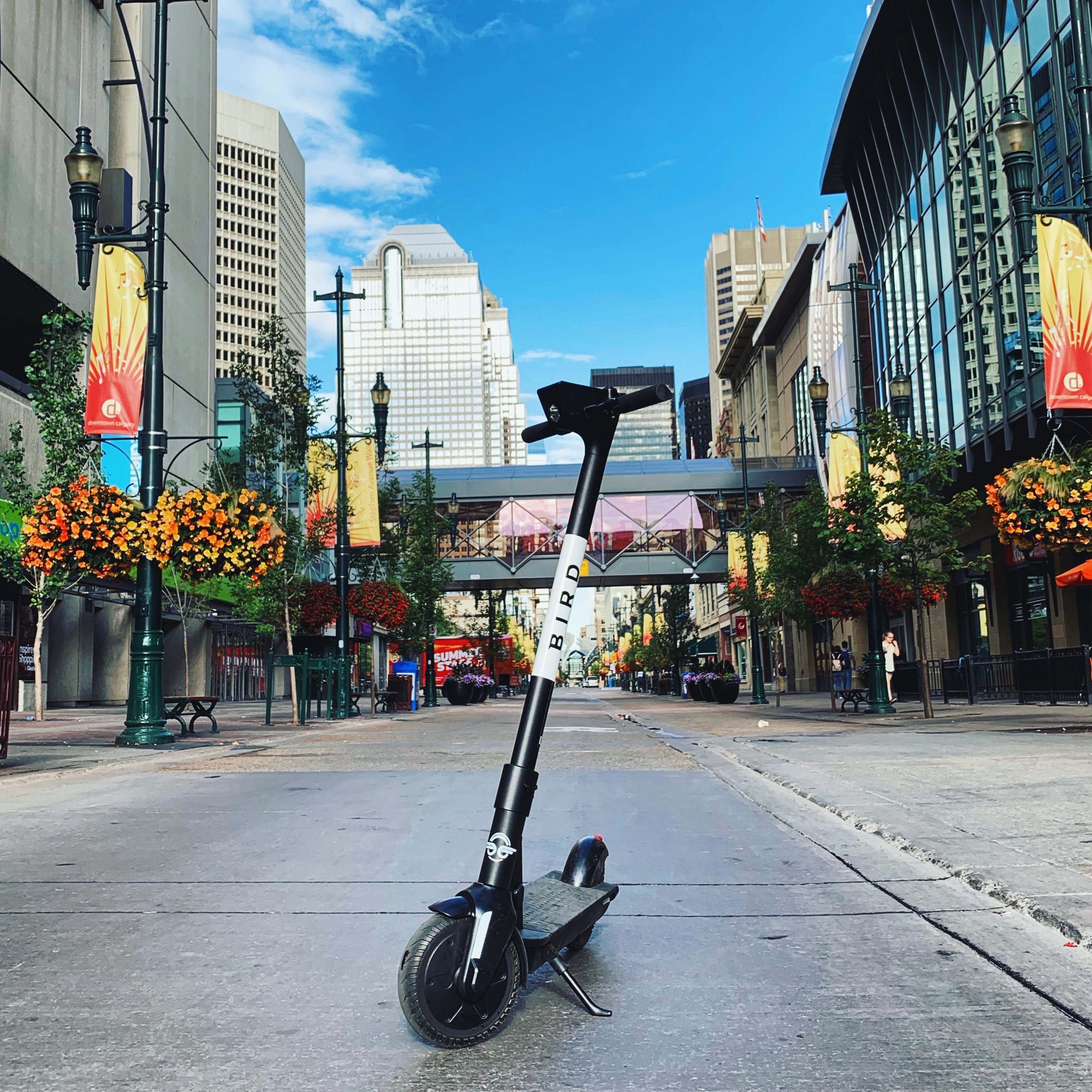 Bird e-Scooters Now Available in Calgary