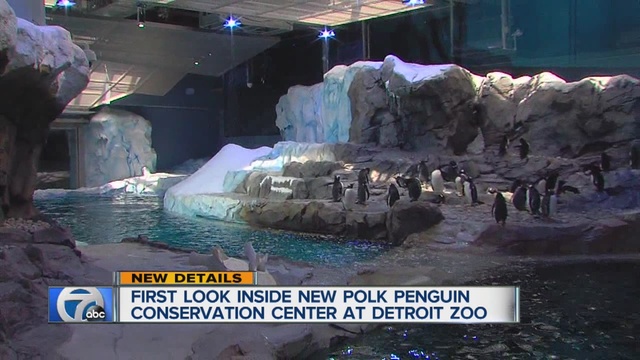 Sneak peek at Penguin Conservation Center at the Detroit Zoo, plus live