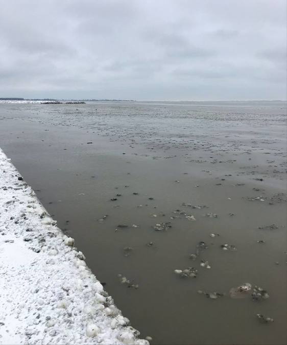 Photograph shows raw sewage discharged into Lake St. Clair