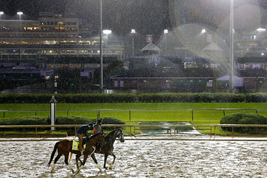 Photo gallery Meet the horses running the Kentucky Derby Gallery
