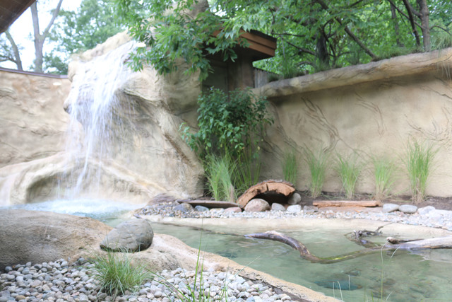 Otter habitat expanded at Detroit Zoo