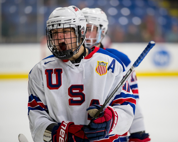 Rochester Hills native Jonathan Gruden close to realizing NHL dream